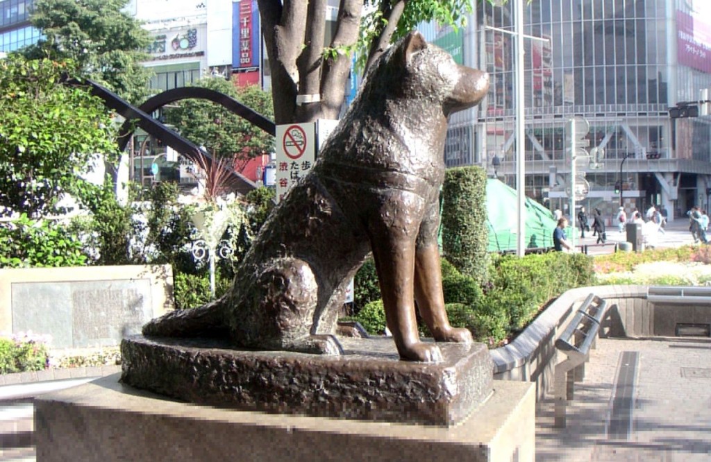 Hachiko-A-Dog-s-Story-hachiko-a-dogs-story-14893697-2048-1536