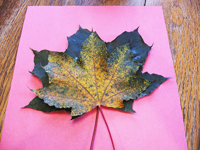 Стоковые фотографии по запросу Autumn leaves vase