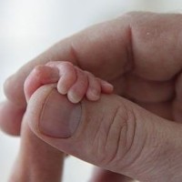 Ученые выяснили,что у недоношенных детей ослаблены связи в мозгу