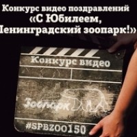 Ленинградский зоопарк объявляет конкурс видеопоздравлений