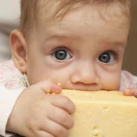 Можно ли кормить малыша сыром