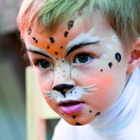 В Петербурге пройдет костюмированный фестиваль петербургских котов